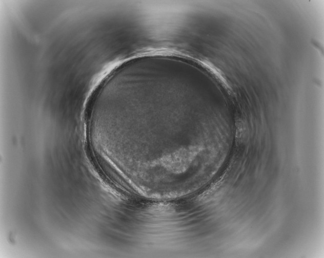 X0000096731414200802261441