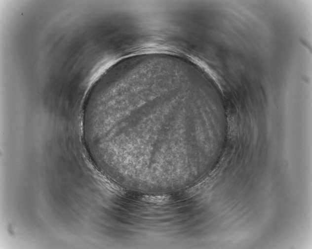 X0000096731415200802261441