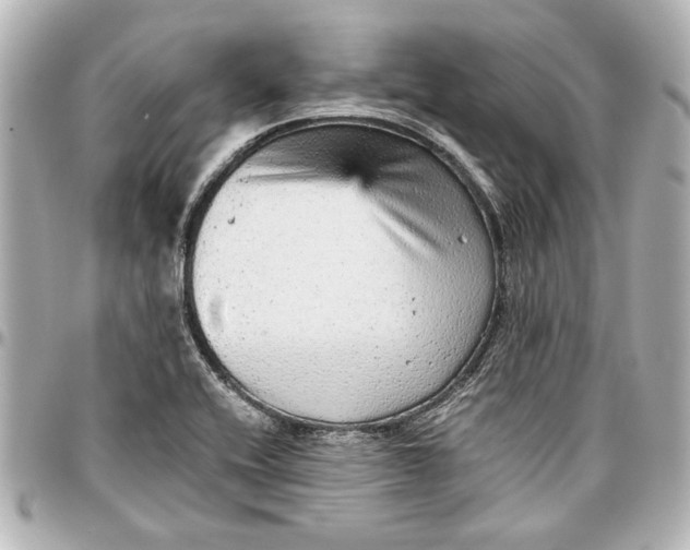 X0000096731416200802261441