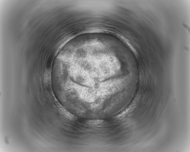 X0000096731417200802261441