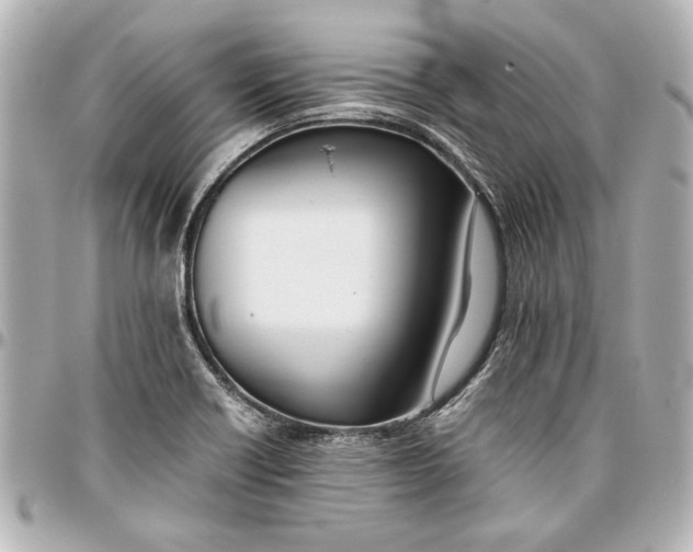 X0000096731418200802261441