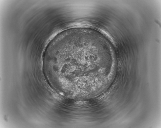 X0000096731419200802261441