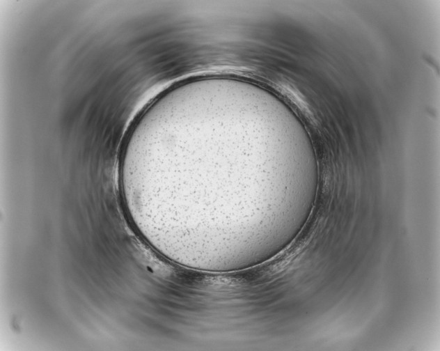 X0000096731420200802261442