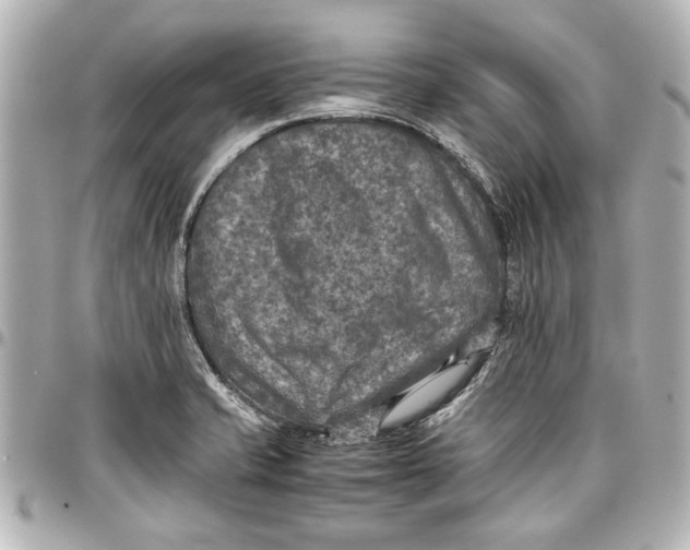 X0000096731421200802261442