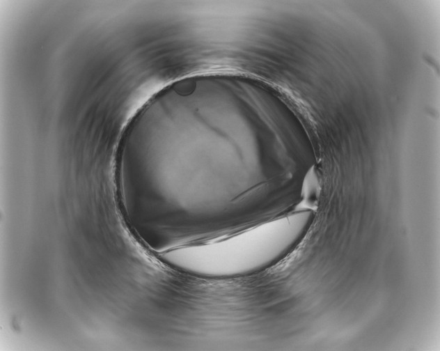 X0000096731422200802261442