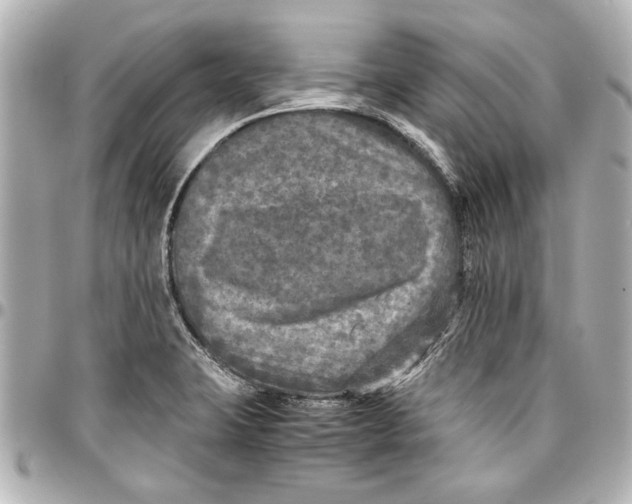 X0000096731423200802261442