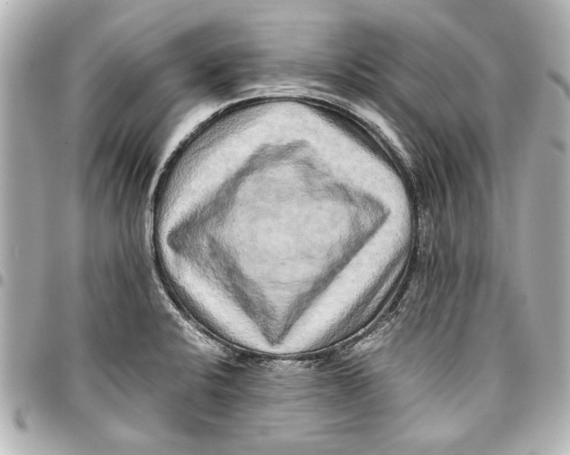 X0000096731424200802261442