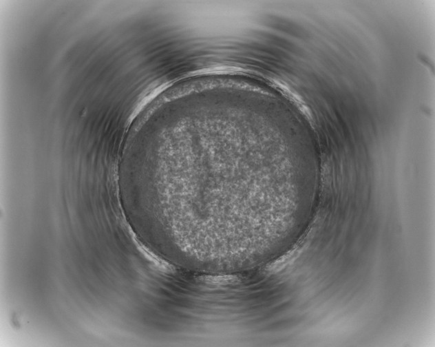 X0000096731425200802261442