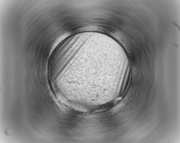 X0000096731426200802261442