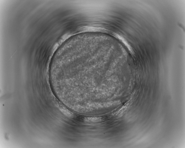 X0000096731427200802261442