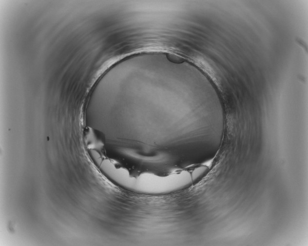 X0000096731428200802261442