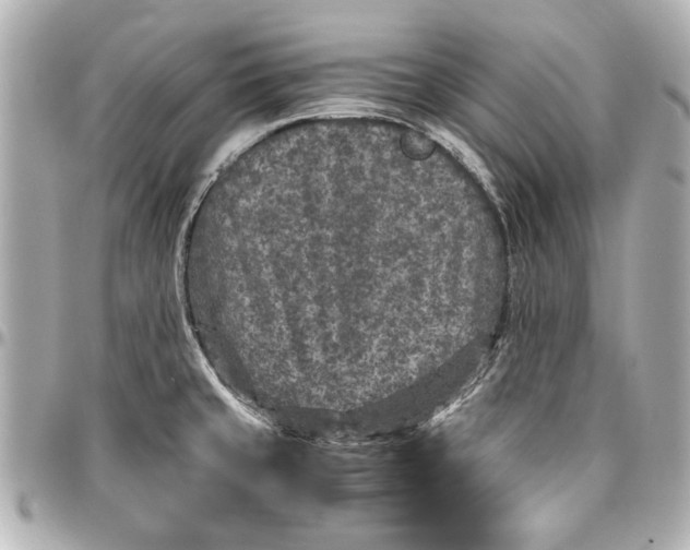 X0000096731429200802261442