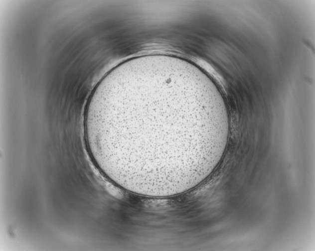 X0000096731431200802261442