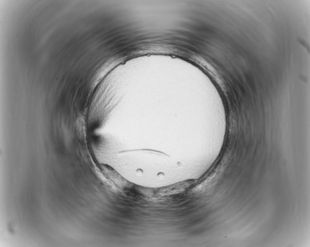 X0000096731433200802261442