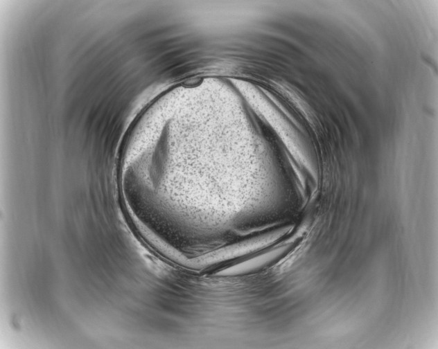 X0000096731434200802261442