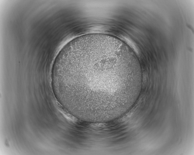 X0000096731435200802261442