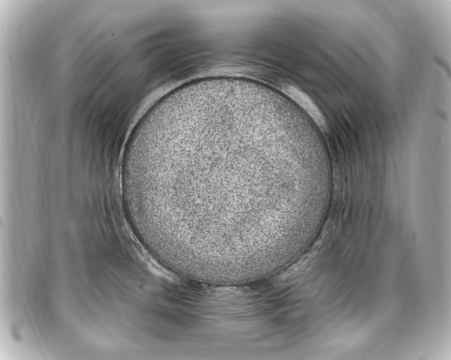 X0000096731436200802261442