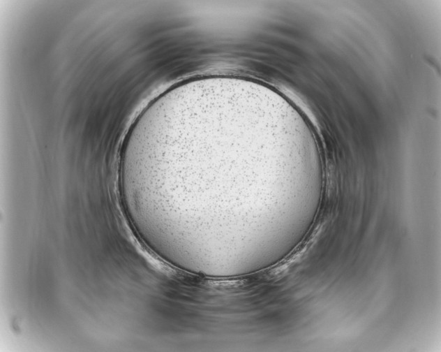 X0000096731437200802261442