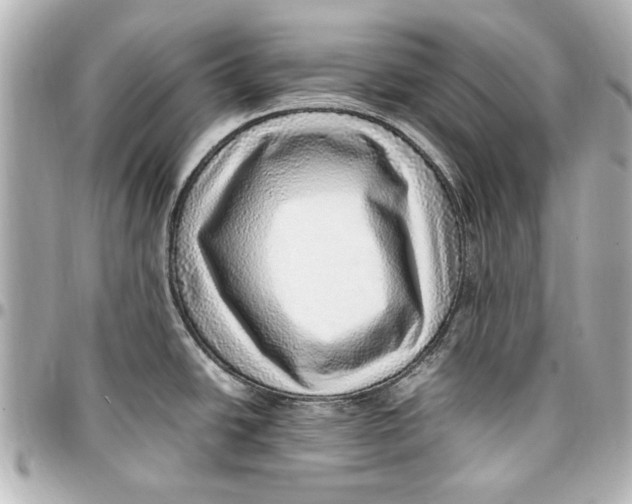 X0000096731438200802261442