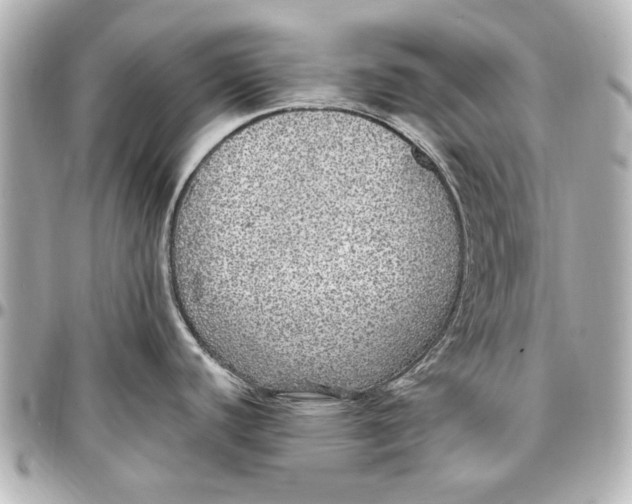 X0000096731440200802261442