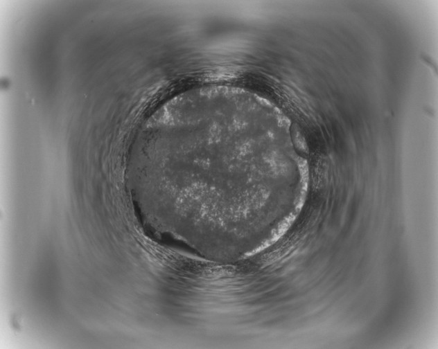 X0000096731441200802261441