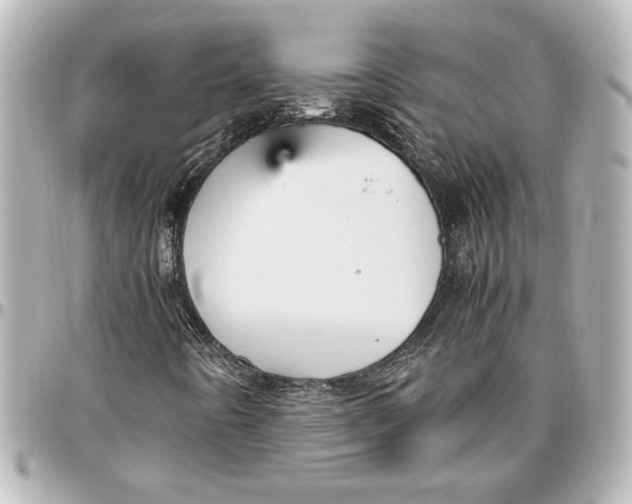 X0000096731442200802261441