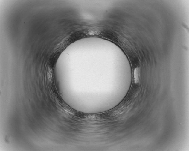 X0000096731443200802261441