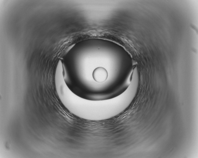 X0000096731444200802261441