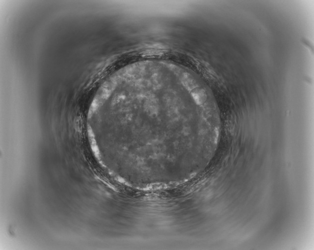 X0000096731445200802261441