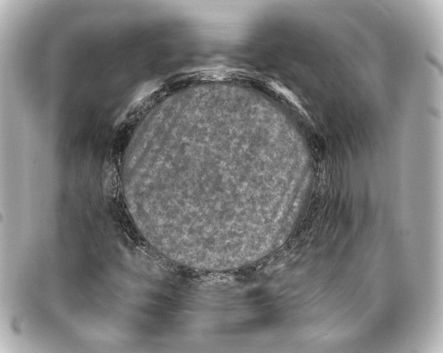 X0000096731446200802261441