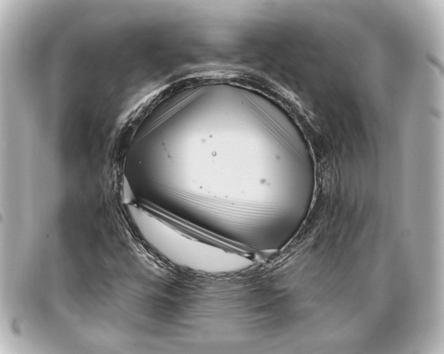 X0000096731448200802261441