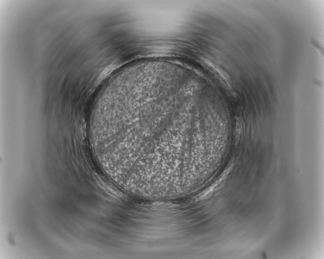 X0000096731449200802261441