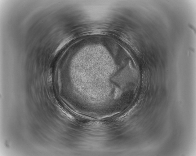 X0000096731450200802261441