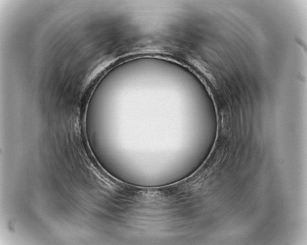 X0000096731452200802261441