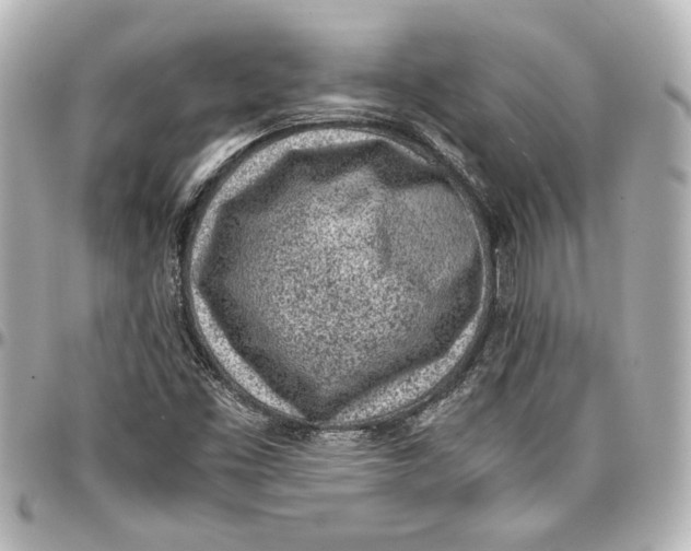 X0000096731453200802261441