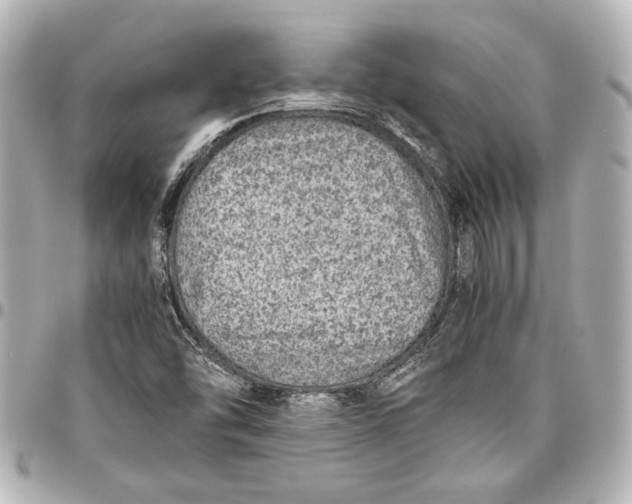 X0000096731454200802261441