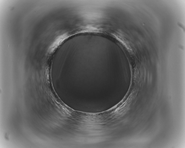 X0000096731455200802261441