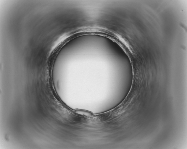 X0000096731456200802261441