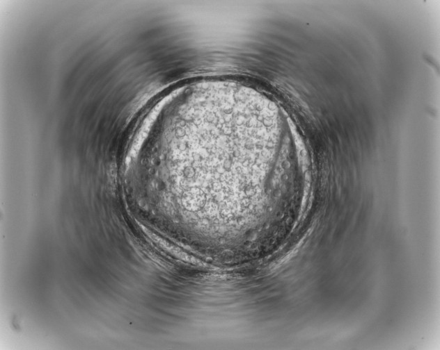 X0000096731457200802261441