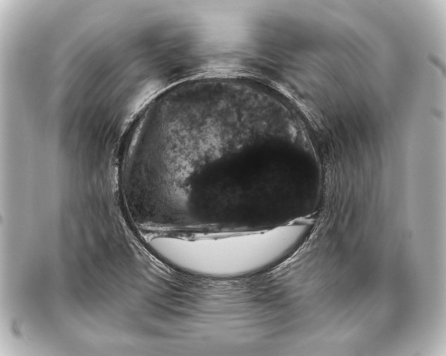 X0000096731459200802261441