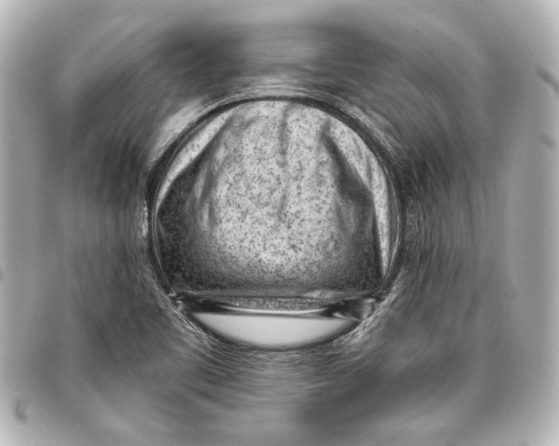 X0000096731461200802261441