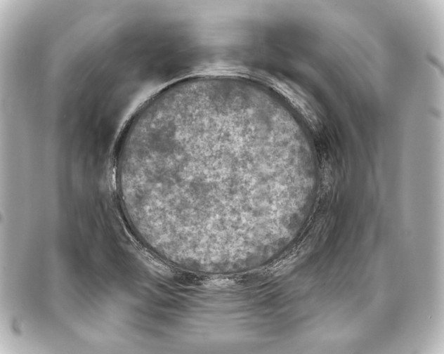 X0000096731462200802261441