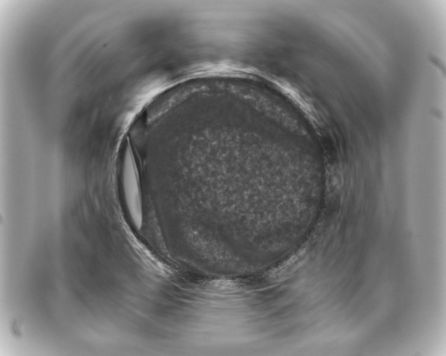 X0000096731463200802261441