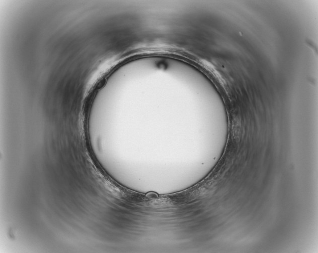 X0000096731464200802261441