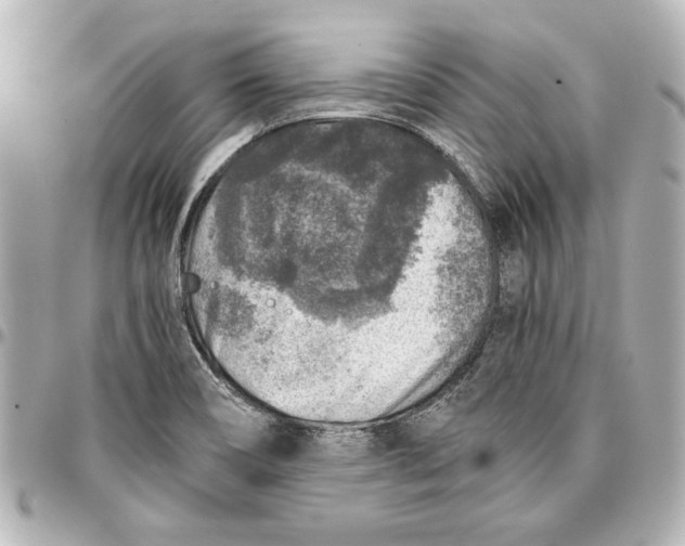 X0000096731466200802261441