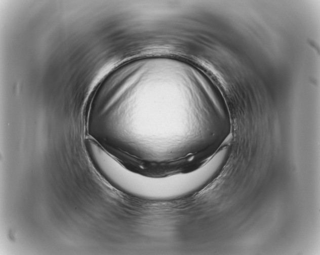 X0000096731467200802261441