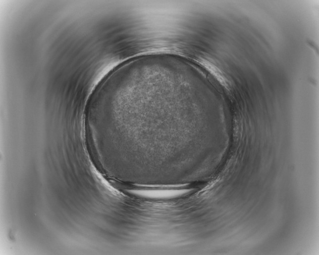 X0000096731468200802261441