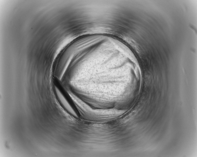 X0000096731469200802261441