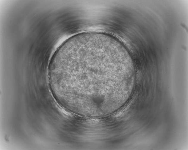 X0000096731470200802261441