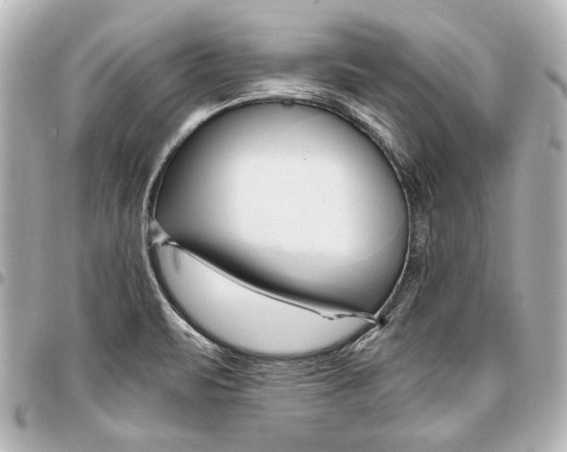 X0000096731471200802261441